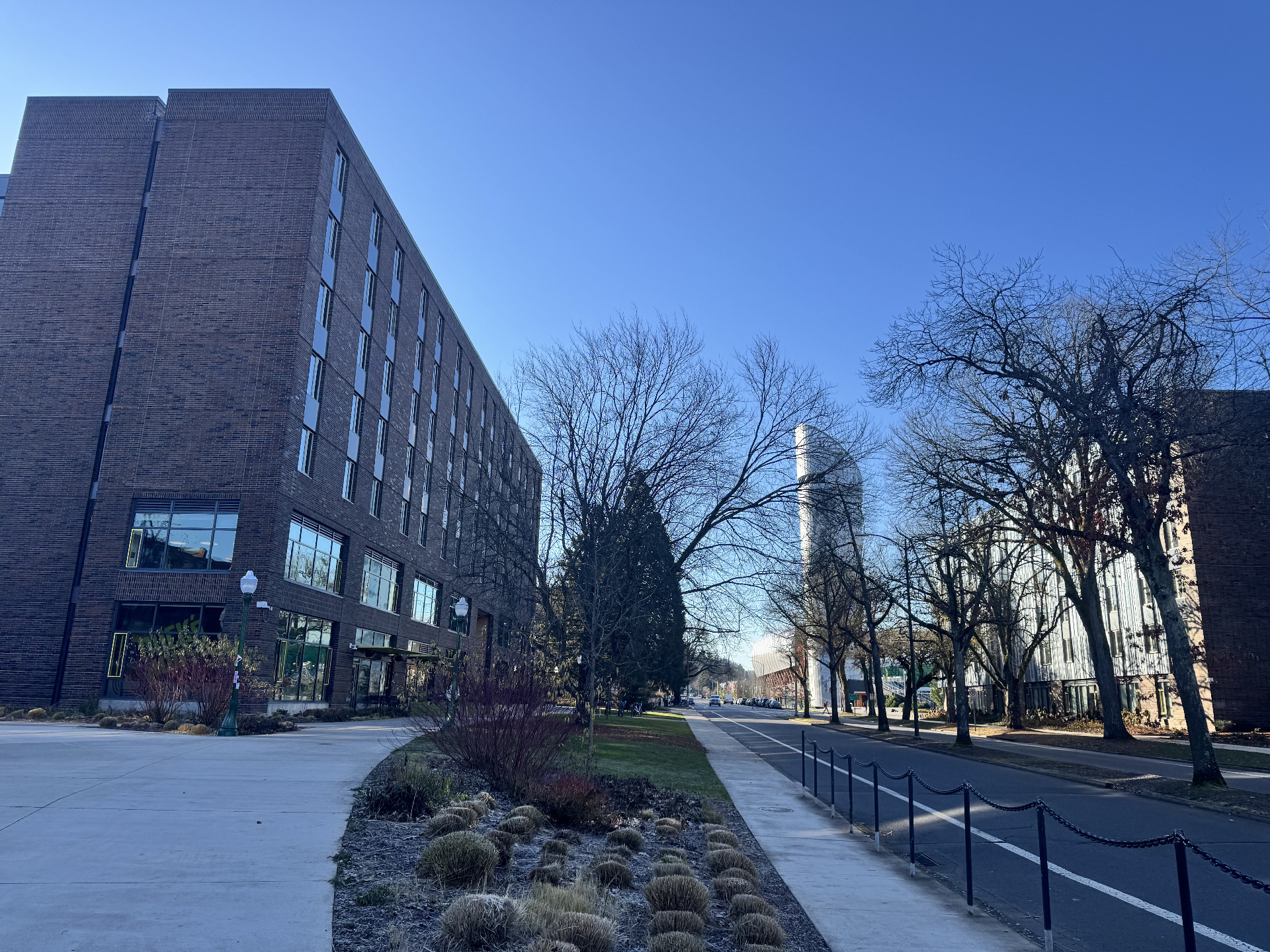 Looking south down Agate street in Eugene, Oregon. Unthank Hall is on the left, New Residence Hall is on the right, and the Hayward Field tower is visible across 15th avenue. It's a frosty morning with clear blue sky.