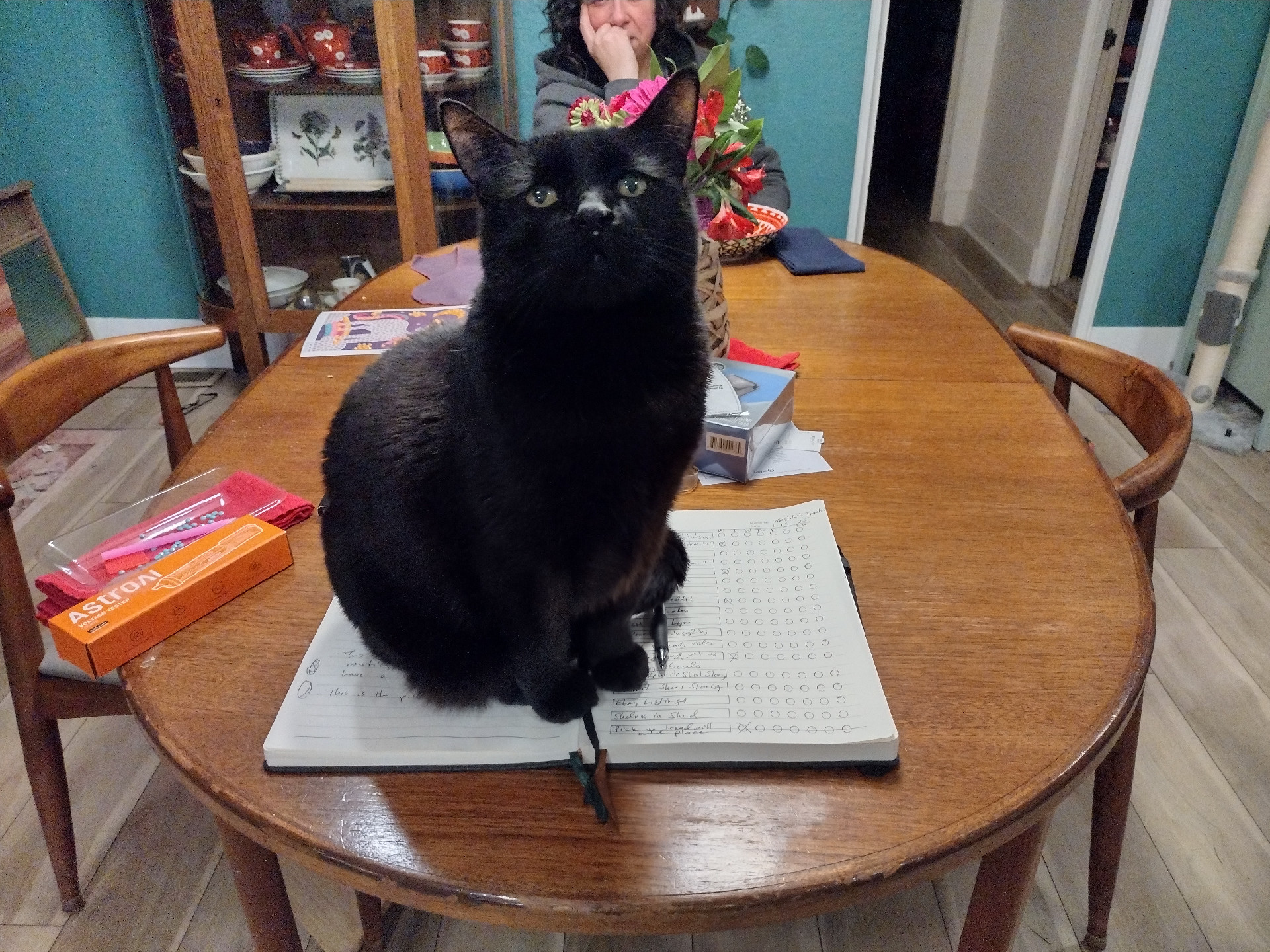 A black cat sitting on an open notebook, looking up at the photographer in a self-satisfied way.